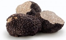 Black truffles on a white background